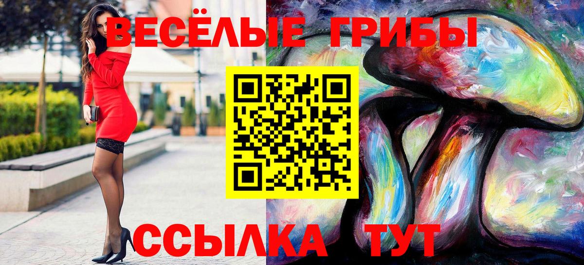 Галлюциногенные грибы Cubensis Нижневартовск